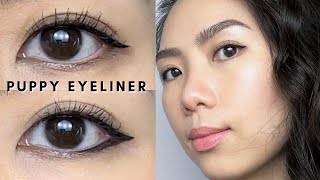 2 Ways to Wear PUPPY EYELINER  Best Eyeliner for SuperHooded Eyes amp Monolids Beginner Friendly [upl. by Illil]