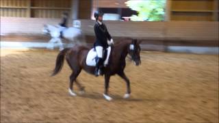 Reitturnier Gut Allegra Nency Dressur [upl. by Wilmott653]