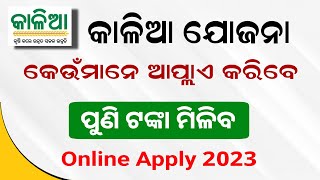 Kalia Yojana Big update  Kalia Yojana Online Apply  Odisha Scheme 202324 [upl. by Hcra882]