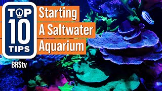 Top Simple Beginner Tips For Starting A Saltwater Reef Aquarium Setup [upl. by Leupold]