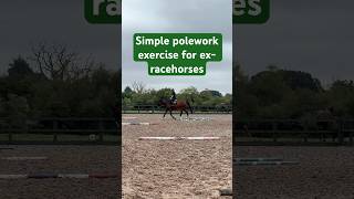 Simple polework exercise for exracehorses horses ottb [upl. by Ayahsal]