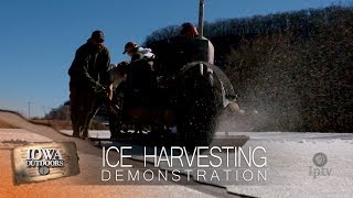 Ice Harvesting Demonstration [upl. by Shama]