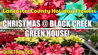 Lancaster County Christmas Greenhouse Tour  Black Creek Greenhouse [upl. by Gnem489]