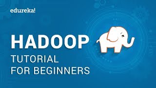 Hadoop Tutorial For Beginners  Apache Hadoop Tutorial  Hadoop Training  Edureka [upl. by Assina]