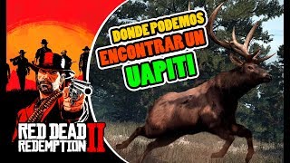 Donde cazar UAPITI o WAPITI LOCALIZACIÓN EN RED DEAD REDEMPTION 2  RDR2 [upl. by Kiah]