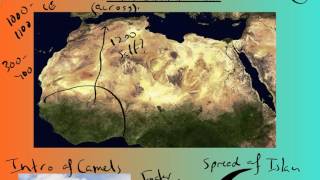 West Africa Trans Saharan Trade [upl. by Keiko]