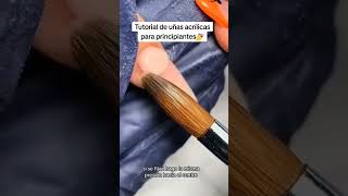 🤩Tutorial de uñas acrílicas para principiantes🤩 [upl. by Jestude794]