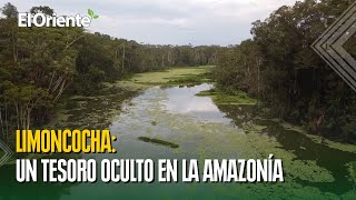 Laguna Limoncocha el secreto mejor guardado de la Amazonía de Ecuador [upl. by Antoinetta875]