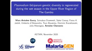 Plasmodium falciparum genetic diversity  Marc Antoine Guery ASTMH 2020 [upl. by Ellyn784]