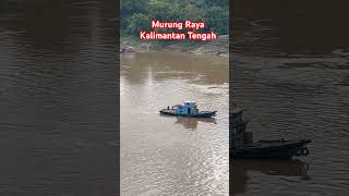 PRODUKSI KAYU KALTENGMURUNG RAYAPURUK CAHU DI SUNGAI BARITO [upl. by Chretien]