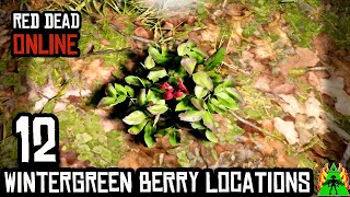 Red Dead Redemption 2 Online  WINTERGREEN BERRY LOCATIONS [upl. by Ainnek991]