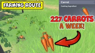 Carrot Farming Route  227 CARROTS A WEEK   GENSHIN IMPACT  原神 [upl. by Spain]