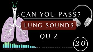 Name That Lung Sound Quiz  Normal and Abnormal lung sounds types respiratory [upl. by Einra480]