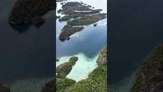 Beautiful place in Papua Indonesia shorts travel papua indonesia [upl. by Bratton857]