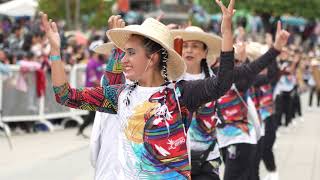 Audición de Colectivos Coreográficos  Carnaval de Negros y Blancos de Pasto 2024 [upl. by Lark723]