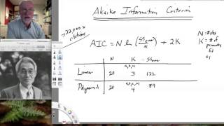 Lesson47 Akaike Information Criterion [upl. by Shargel]