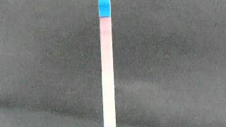 One Step Pregnancy Dipstick Test [upl. by Vatsug]