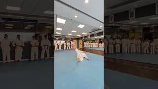 Unroll your potential Front roll skills for all ages KarateFamily Bujutsu [upl. by Yesnikcm]