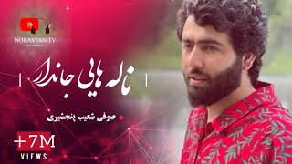 آهنگ جدید صوفی شعیب پنجشیری بیهوده پشت ما نیا ثبت های رباب \ Sofi Shoaib Panjshiri New Song 2024 [upl. by Stavros]