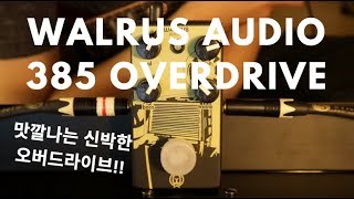 Walrus Audio 385 Overdrive [upl. by Itraa]