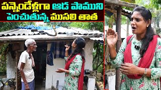 ఆడ పాముని పెంచుతున్న ఒక తాత Old man Raising a snake from 12years Anchor Sridevi  MS Sridevi [upl. by Ahsikit305]