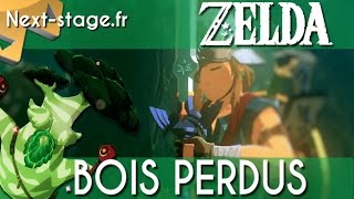 ZELDA  Traverser les Bois Perdus [upl. by Engedus]