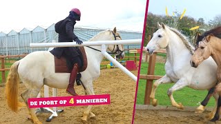 Working Equitation De poort op 4 manieren  𝘚𝘯𝘶𝘪𝘵𝘢𝘣𝘭𝘦 [upl. by Siffre]