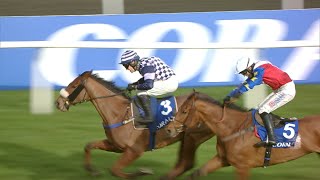 BLOW YOUR WAD wins 2024 Pendil Novices Chase at Kempton [upl. by Otipaga]