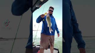 A weekend fishing trip of chasing walleye [upl. by Essam]