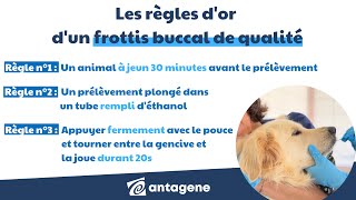 Tuto  Réaliser un frottis buccal en vue dun test génétique [upl. by Lash]