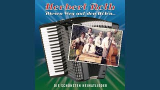 Herbert Roth  Erfolge Medley mit div Interpreten [upl. by Ecirtra179]