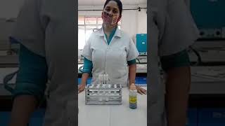 Mastitis test using Bromothymol Blue pH indicator [upl. by Libbie331]