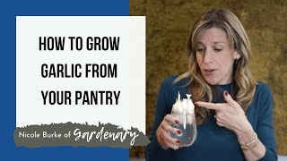 How To Grow Garlic amp Garlic Chives From Your Pantry [upl. by Ldnek301]