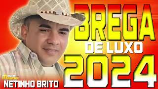 NETINHO BRITO NO FORRÓ BREGA XOTE 2024 dançandoforró [upl. by Annawd]