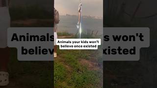 Animals Your Children Wont Believe Once Existed Shocking😱 [upl. by Ailad776]