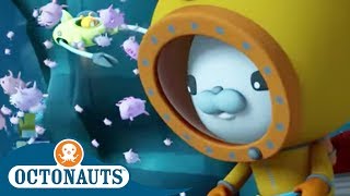 Octonauts  Exploring the Deep Depths of the Ocean  Cartoons for Kids  Underwater Sea Education [upl. by Mercorr]