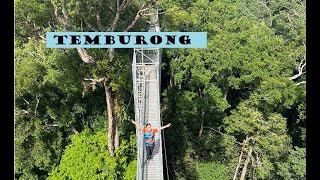 Canopy Walk and Waterfalls  Temburong Brunei [upl. by Ohare]