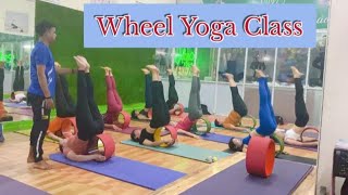 Wheel yoga sequence  full wheel yoga class  Basic class [upl. by Gemma375]