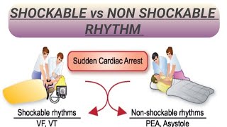 SHOCKABLE vs NON SHOCKABLE RHYTHM [upl. by Neurath37]