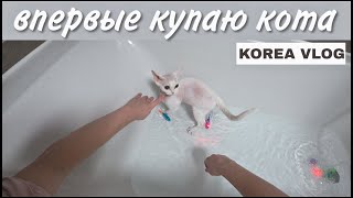 Купаю своих животных  KOREA VLOG [upl. by Ardine147]