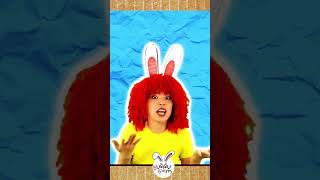 Hop Little Bunnies Hop  Dance Party  Nursery Rhymes amp Kids Songs  Bunny Boom [upl. by Daahsar]