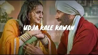 Udja Kale Kawan  slowedreverb  Gadar 2  sunny deol  lofi [upl. by Bow]