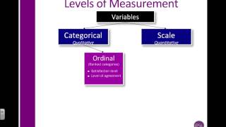 SPSS Understand Ordinal Nominal amp Scale aka Level of measurment [upl. by Negeam]