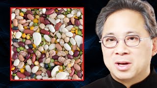 The TRUTH About Lectins Scientist Explains  Dr William Li [upl. by Nnael]