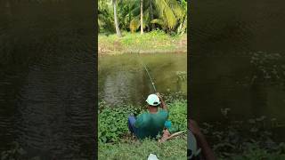 Incredible Fishing Techniques shortsfeed shorts viralvideo trending youtubeshorts hookfishing [upl. by Dinerman]