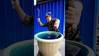 Japanese 🇯🇵 man cutting waterjapanese mrbeast carryminati fish [upl. by Sunil]