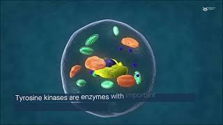 Inhibition of ABL tyrosine kinases shows potential for metastatic cancer treatment [upl. by Farman]