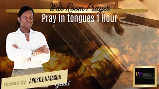 PRAY IN TONGUES 1 HOUR  WELCOMING FIRE  INTERCESSION WARFARE  KYLELOVETT  APOSTLE NATASHA [upl. by Myrna526]