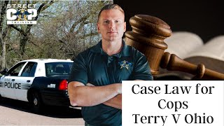 CASE LAW for Cops What are the requirements for a Terry Stop [upl. by Iren]