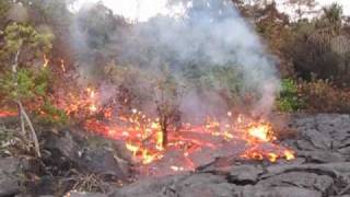 kilauea Lava Flow April 29 2010 [upl. by Bauer793]